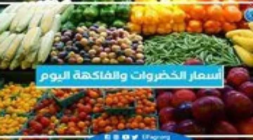 أسعار الخضروات والفواكه في أسوان تبرز اليوم السبت 29 نوفمبر 2025